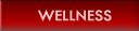 Wellness usluge